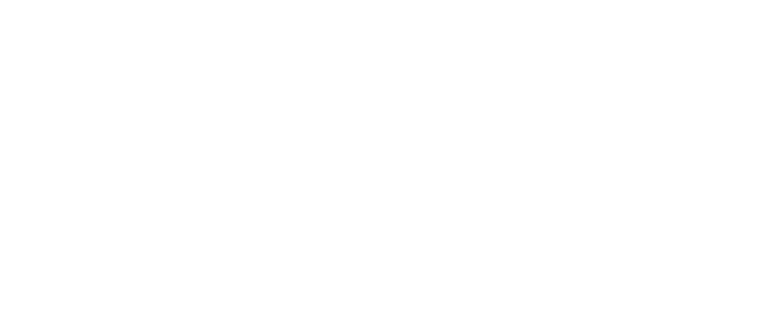 Company Bike